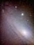 M31